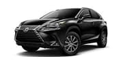 Lexus NX 21-